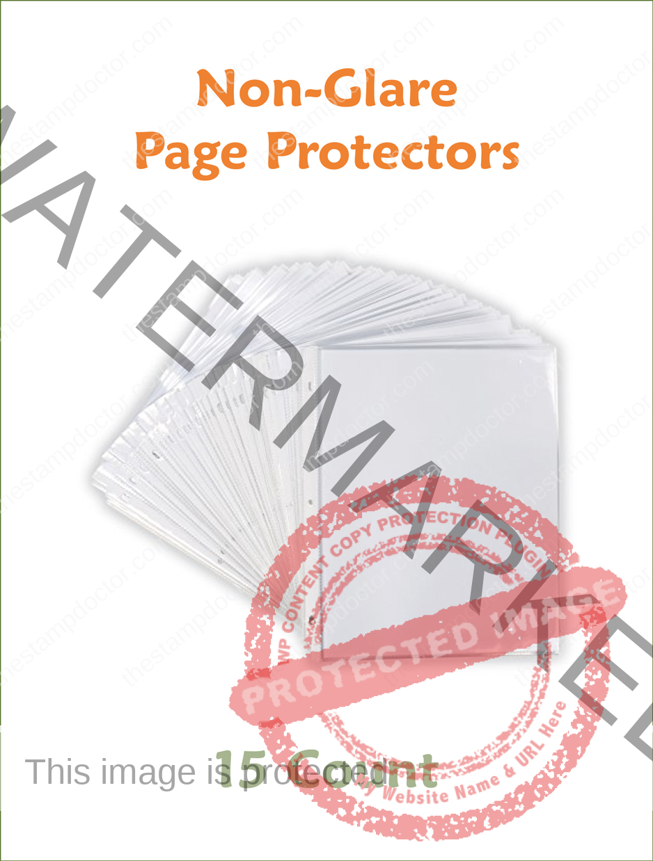10 Sheet 8.5 x 11 Page Protector by Park Lane